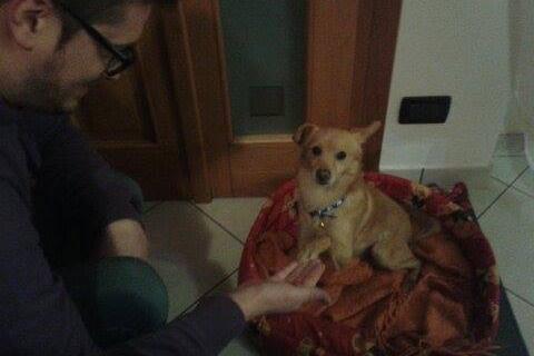 Pino a casa